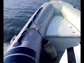 GOMMONE BESTIALE GOMMONE BESTIALE
