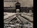 Birkenau ( I shalt become ) - In The Falling Snow