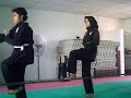 Pusat Cemerlang Silat (PCS)