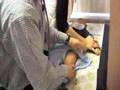 Cody takes vaccination