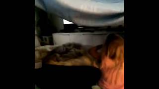 Fort Building