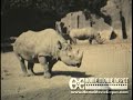 hase-family-1978-hasescherner-christmas1979-hase-christmas-beginning.html
