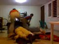 convension anual de lucha libre amateurs