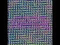 Animal Collective - My Girls [w/ lyrics]