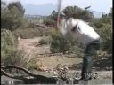 Monster Energy Effects
