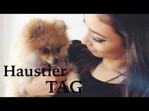 Haustier - Hallo meine Lieben ♡ Sorry, das es so unscharf ist ich hoffe, das euch das Video gefallen hat ♡ Frage an euch: Habt ihr ein Haustier ? was für eins ? ♡ Frage...