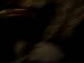ale drogin ale fuma maryguana y yo tmb je