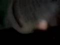 videos de LoKO GiL kn CarLos..! n SpRiMnToS.!!