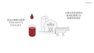 動画のサムネイル