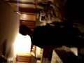 Stupid Boy.wmv