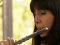 MUSICA CLASICA ALMA DE MARFIL
