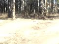 video de una prueba del nuevo ocm kaos dt-19 con motor grp en arcos de la polvorosa-zamora