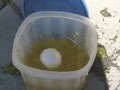 Can an Egg Survive an 8 Foot Drop?