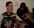 CETRARO:tarantella cetrarese