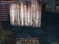Lineage II guardo