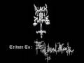 Black Plague - Ruin (Endless Dismal Moan Cover) R.I.P Chaos9