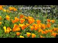 Journey to Life Series - Day 58 - Desiring to be a Submissive/Dominant?