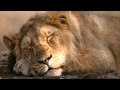 KE$HA - Tik Tok (Remaked) BEST HQ