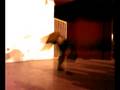 Bboy Shock From venezuela