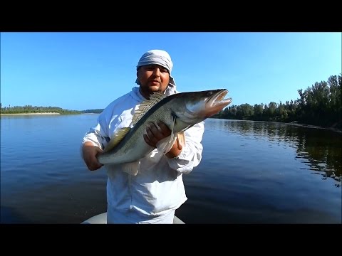 ловля судака на джиг с лодки видео на оке ловля судака на джиг с лодки видео на оке