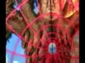 Desencantamento - Alex Grey & Daniel Pinchbeck (leg pt)
