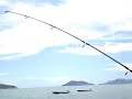 jack fish giving a good fight