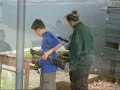 Video: Heron Pack Camp 2005