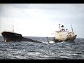 Celtica- Desolaci�n