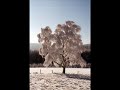 Sauerland lied