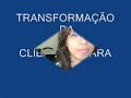 TRANSFORMAÇÃO DA CLIENTE NAYARA