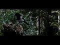 Mus gaat ekster komt / Sparrow goes, Magpie comes Mus gaat ekster komt / Sparrow goes, Magpie comes