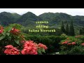 enlightenment is your nature   satsang with dolano