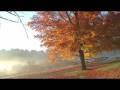 Aiptek High Definition Camcorder : Scenic Morning.