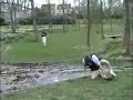 Long jump practice gone wrong Long jump practice gone wrong