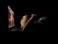 videos de Stayed Up Late Watching Por... + Dragonball X?