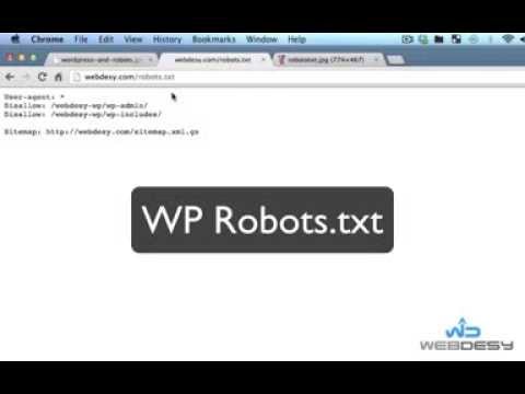 how to locate robots.txt