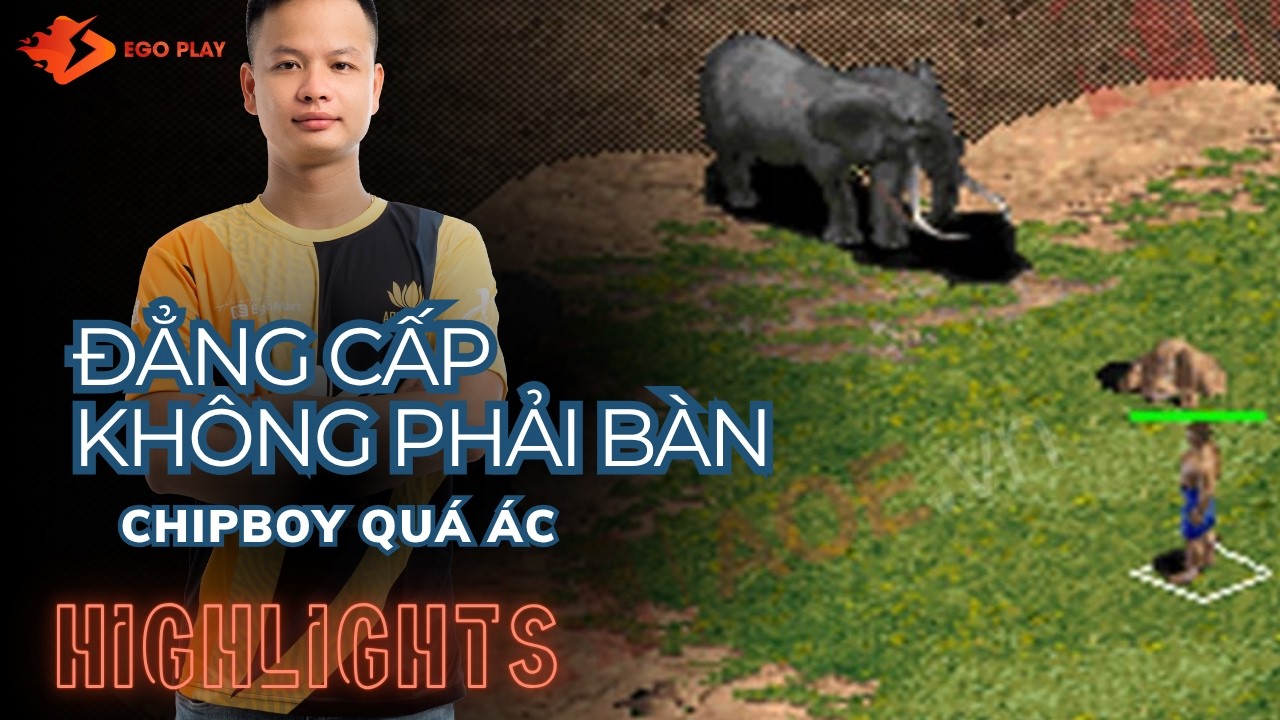 AoE Highlights: Câu voi bằng Cung T bạn đã thử chưa?