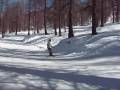 videos de Holmfirth Boarders - Sauze d'Oulx 2008