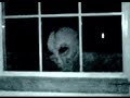 Alien Video is a Hoax Film Enhanced V.s Alien on July 17, 2003