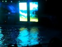 Rock show de la ballena! 02