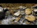 Yeshuven Pakshamay - Malayalam Christian Song Yeshuven Pakshamay - Malayalam Christian Song
