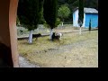 YouTubeサムネイル[M21WevJI76Y] - 1枚目