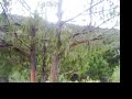 YouTubeサムネイル[M21WevJI76Y] - 3枚目