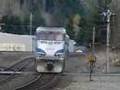 Amtrak Cascades Talgo NB Winlock, WA