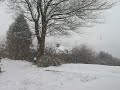 WINTER IN ABERTRIDWR WINTER IN ABERTRIDWR