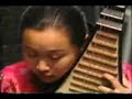 chinese traditional pipa music
by liu fang
solo performer liu fang plays authentic instrumental pieces for the pipa. a 2000 year-old four-stringed chinese lute. this extraordinary collection of digitally-recorded traditional compositions captures the pipa's unique and meditative sound.