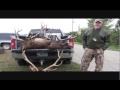 Montana Elk and Mule Deer Hunting with Cottonwood Outfitters