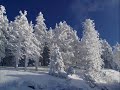 Corul Madrigal: Buna-dimineata la Mos Ajun! Corul Madrigal: Buna-dimineata la Mos Ajun!