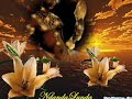 ndandalunda.wmv