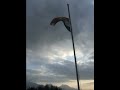 Every day at 4.45pm, all across India, the army lowers the countries national flag in memory of those who gave their lives in defence of their country in the 1962 war against China.  It is a very touching thing to witness, this one is from Tawang in the State of Arunachal Pradesh, near the border to China (Tibet) and Bhutan - Tawang War Memorial - Lowering of the Flag